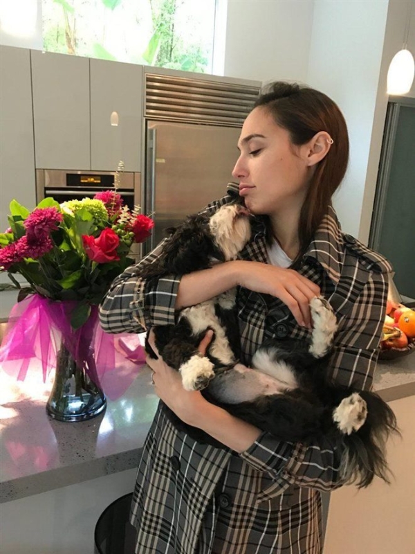 Wonder Woman Actress Gal Gadot Photos FilmiBeat Wonder woman actress gal gadot photos filmibeat