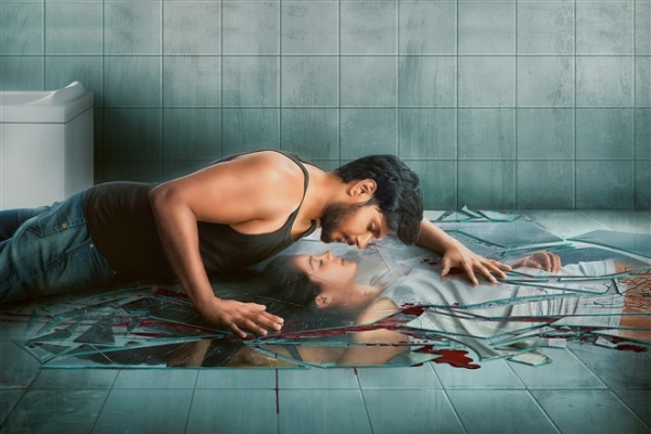 Ninu Veedani Needanu Nenu Photos Ninu Veedani Needanu Nenu Photos