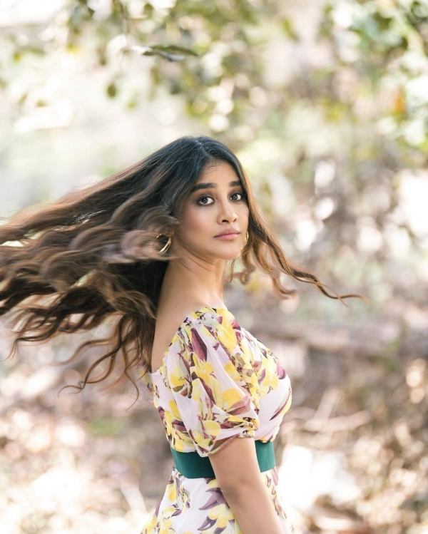 Nabha Natesh Photos Nabha Natesh Photos