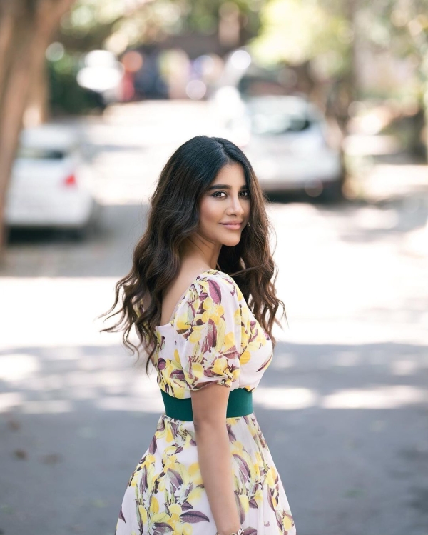 Nabha Natesh Photos Nabha Natesh Photos