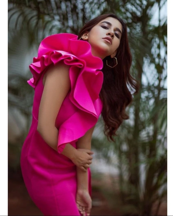 Nabha Natesh Photos Nabha Natesh Photos