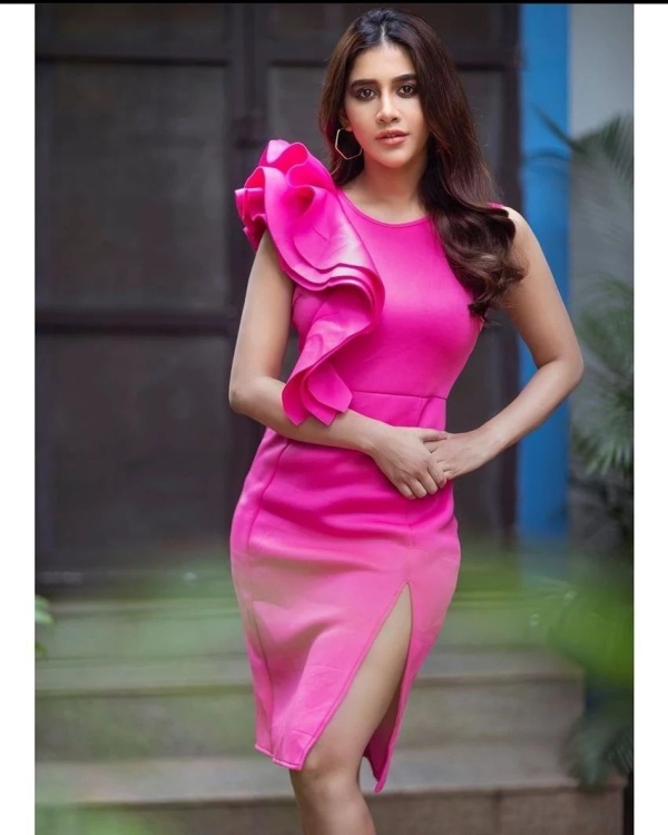 Nabha Natesh Photos Nabha Natesh Photos
