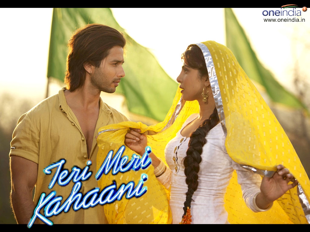 Teri Meri Kahaani