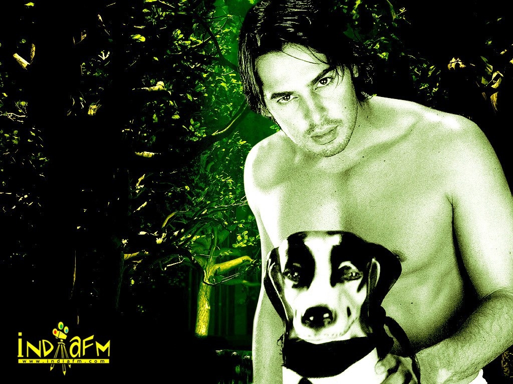 Dino Morea