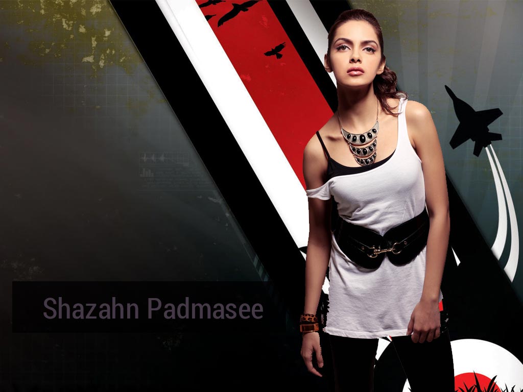 Shazahn Padamsee Hd Wallpapers Latest Shazahn Padamsee Images, Photos, Reviews