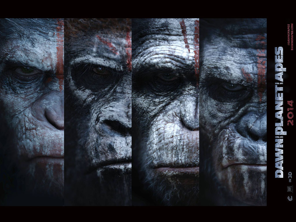 Planet of the apes monkey monkeys movie guerra HD phone wallpaper   Peakpx