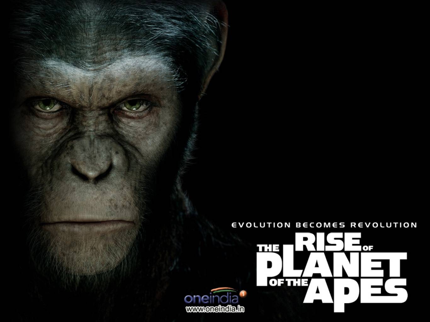 Rise Of The Planet Of The Apes Movie HD Wallpapers | Rise Of The Planet Of The Apes HD Movie Wallpapers Free Download (1080p to 2K) - FilmiBeat Rise Of The Planet Of The Apes Movie HD Wallpapers | Rise Of The Planet Of The Apes HD Movie Wallpapers Free Download (1080p to 2K) - FilmiBeat