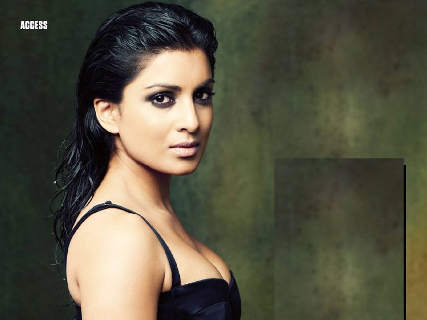 Pallavi Sharda Hd Wallpapers Latest Pallavi Sharda Wallpapers Hd Free Download 1080p To 2k Filmibeat